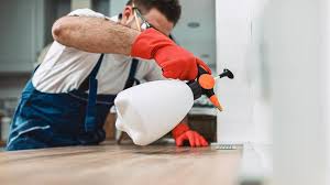 Real Estate Pest Inspections in White Mountain Lake, AZ